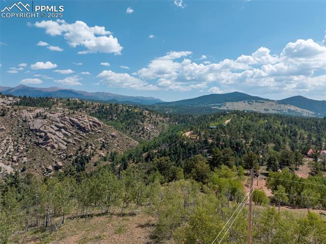 1151 Dandy Jim Drive