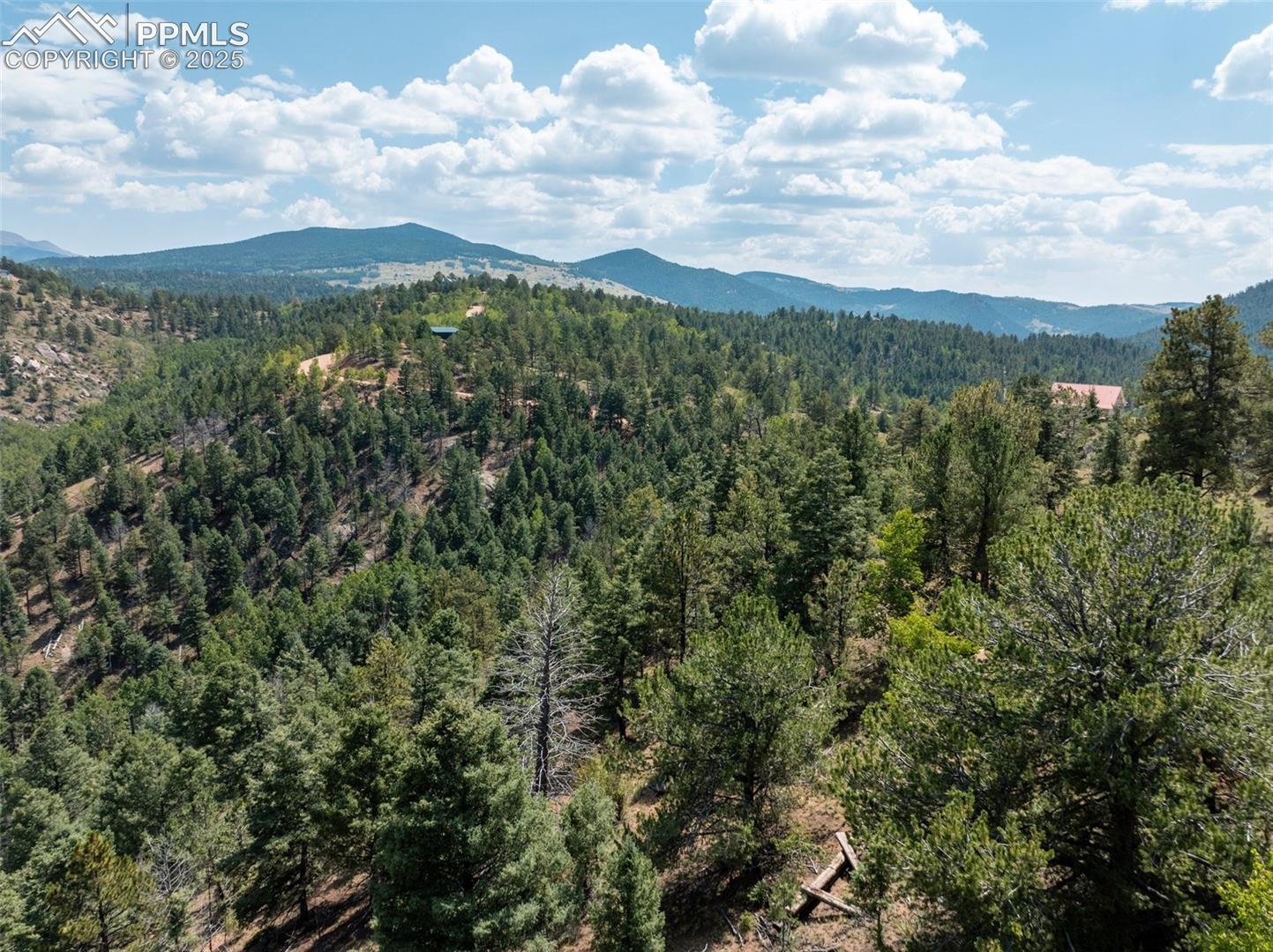 1151 Dandy Jim Drive