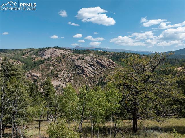 1151 Dandy Jim Drive