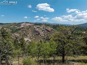 1151 Dandy Jim Drive