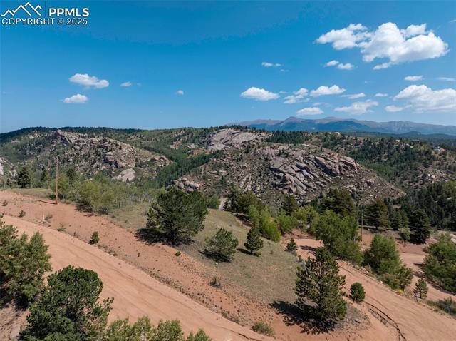 1151 Dandy Jim Drive