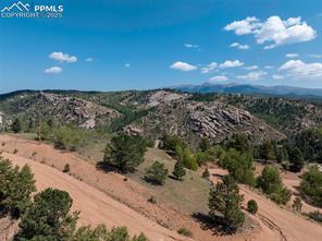 1151 Dandy Jim Drive