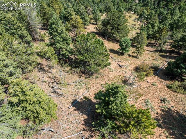 1151 Dandy Jim Drive