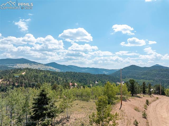 1151 Dandy Jim Drive