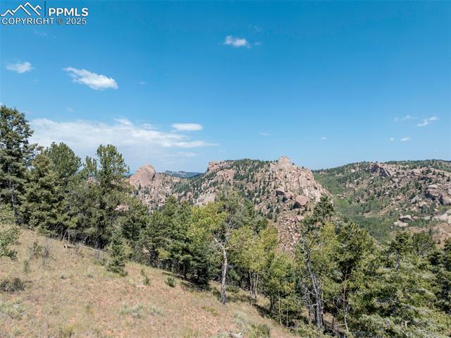 1151 Dandy Jim Drive