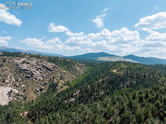 1151 Dandy Jim Drive