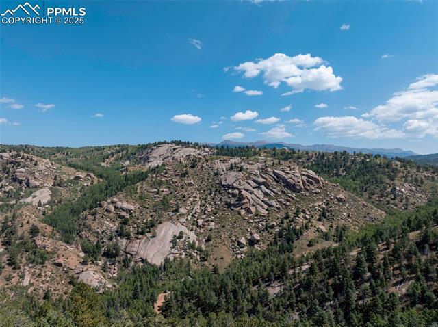 1151 Dandy Jim Drive