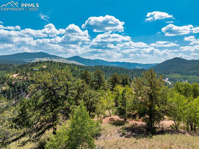 1151 Dandy Jim Drive