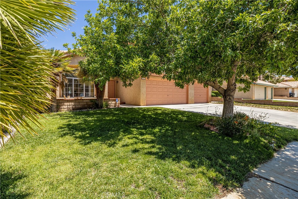 3057 Coyote Road