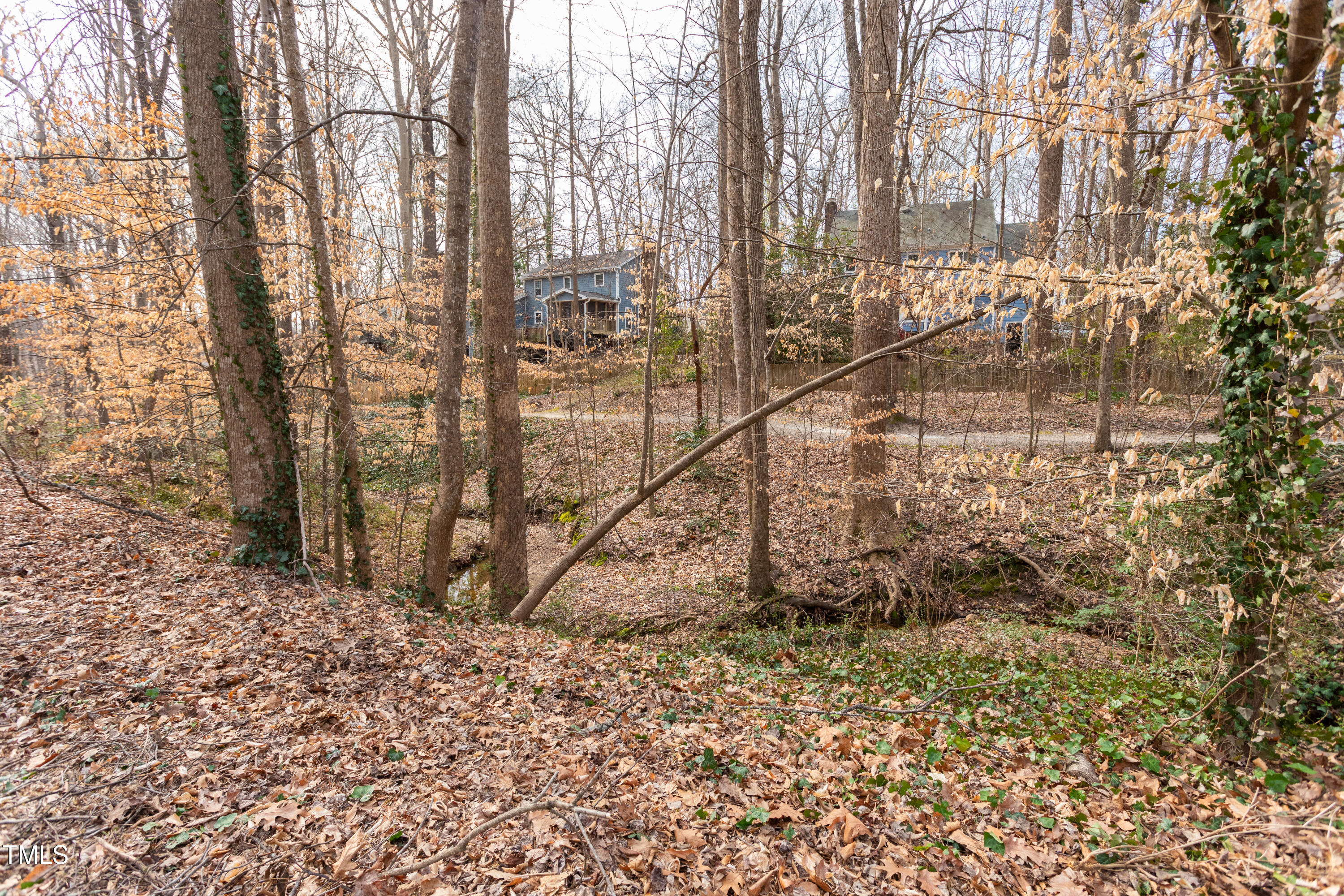 524 Farmington Woods Drive