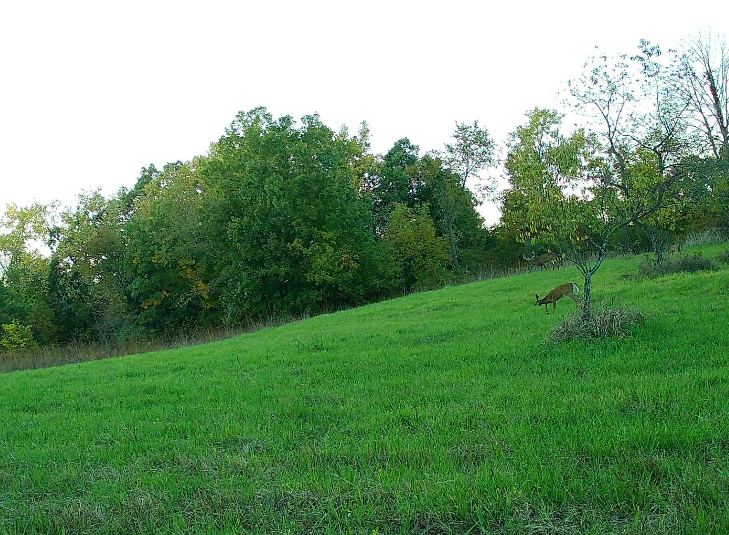 618 Princeton Road