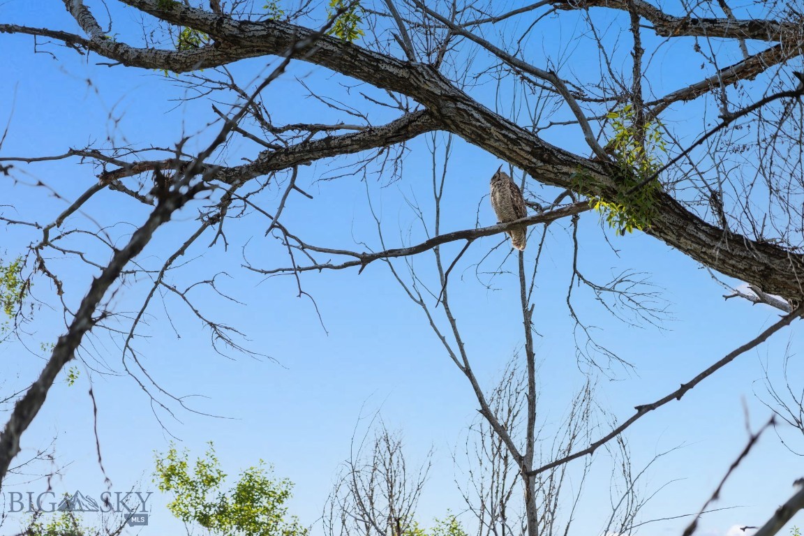 2380 Butch Cassidy Drive