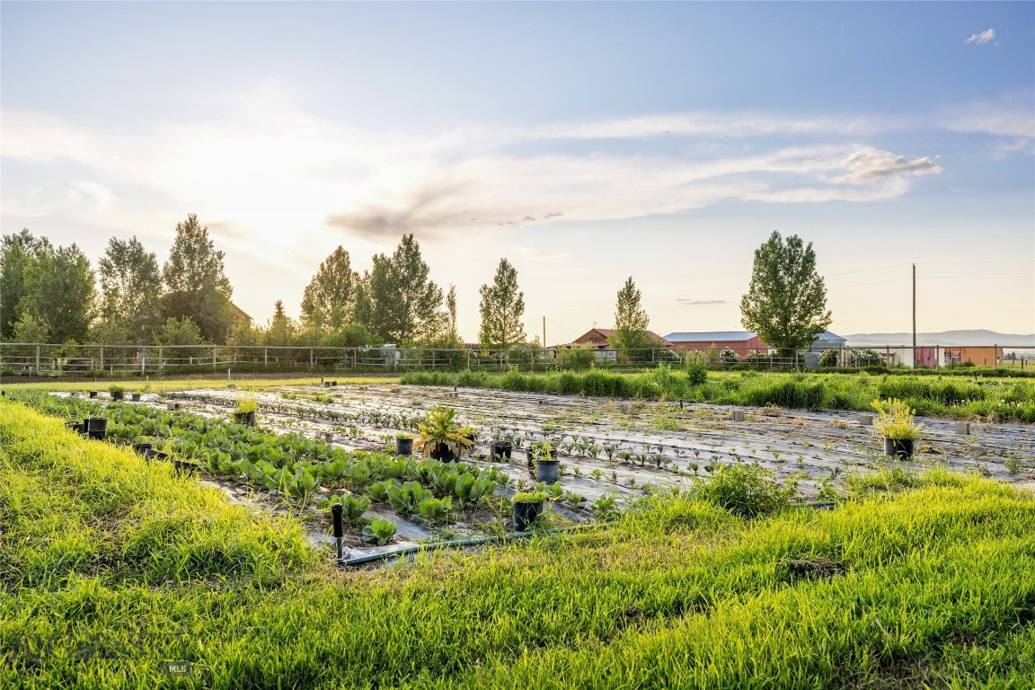 3573 Spain Bridge Road