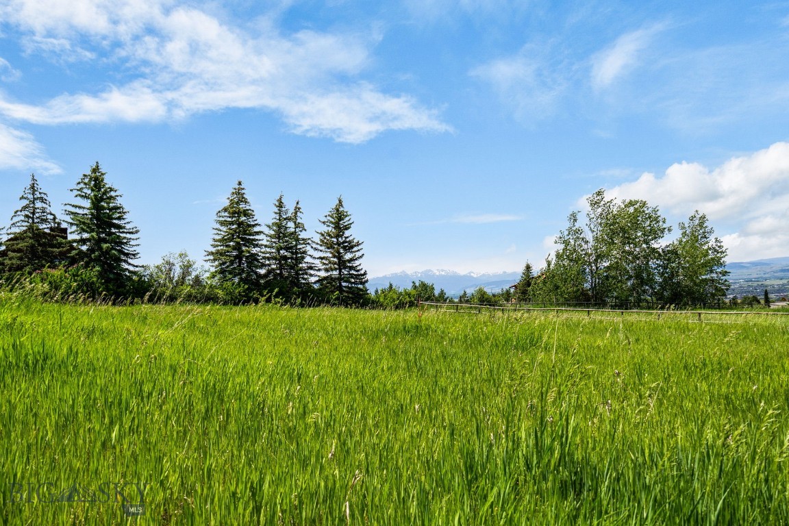 8965 Sandy Creek Lane