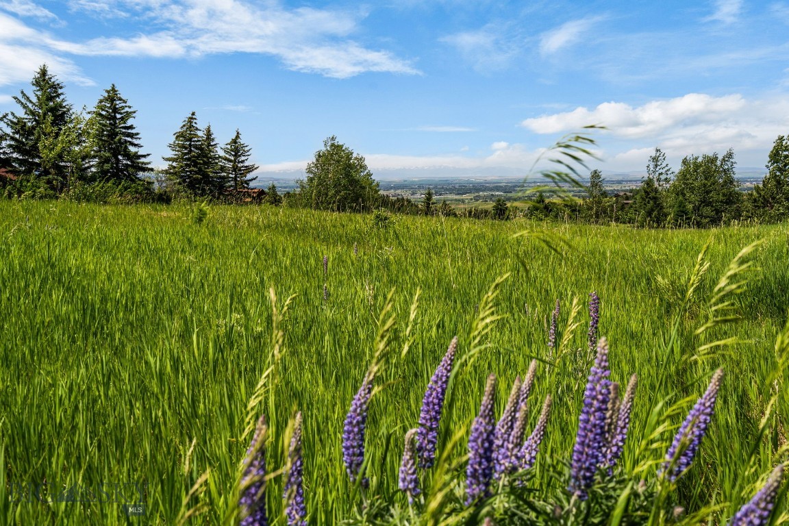 8965 Sandy Creek Lane