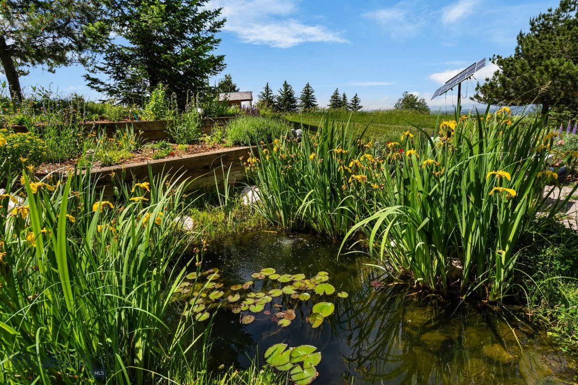 8965 Sandy Creek Lane