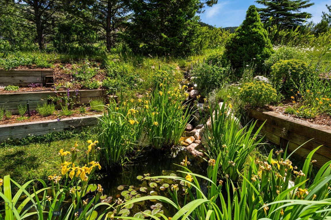 8965 Sandy Creek Lane