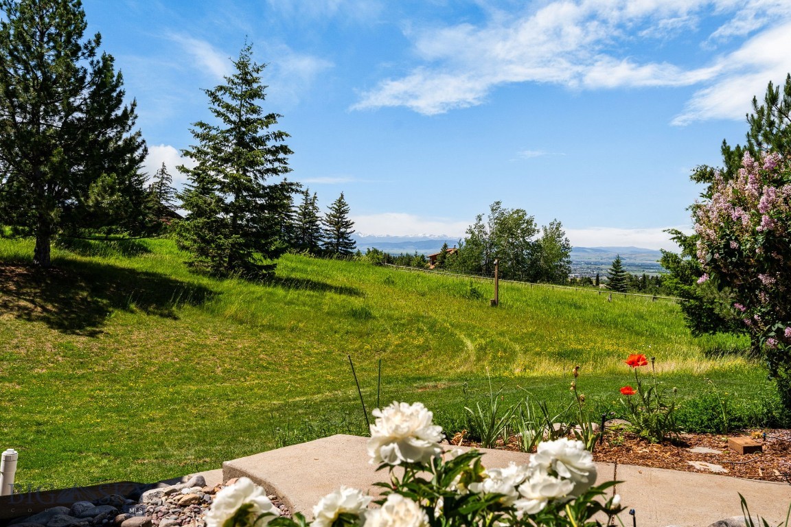 8965 Sandy Creek Lane