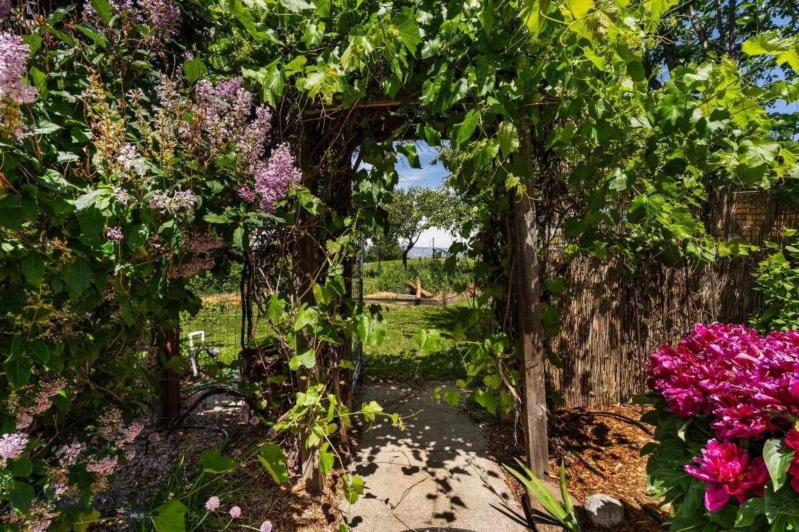 8965 Sandy Creek Lane