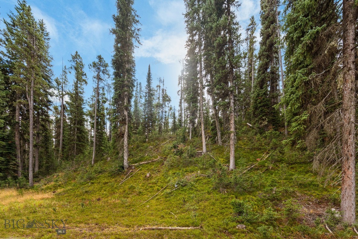 708 US Highway 212 W