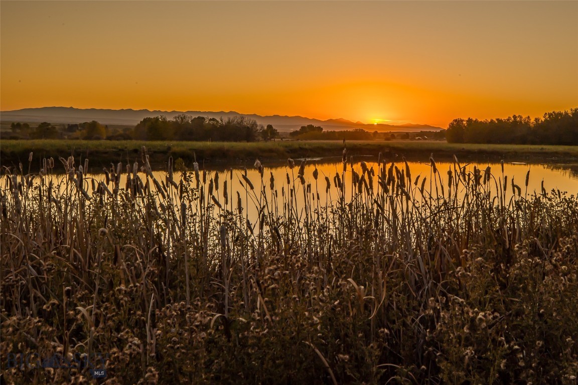 10669 Gee Norman Road