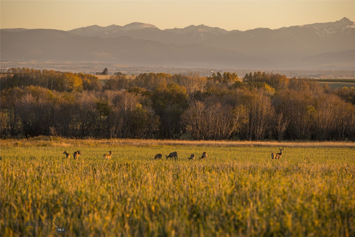 10669 Gee Norman Road