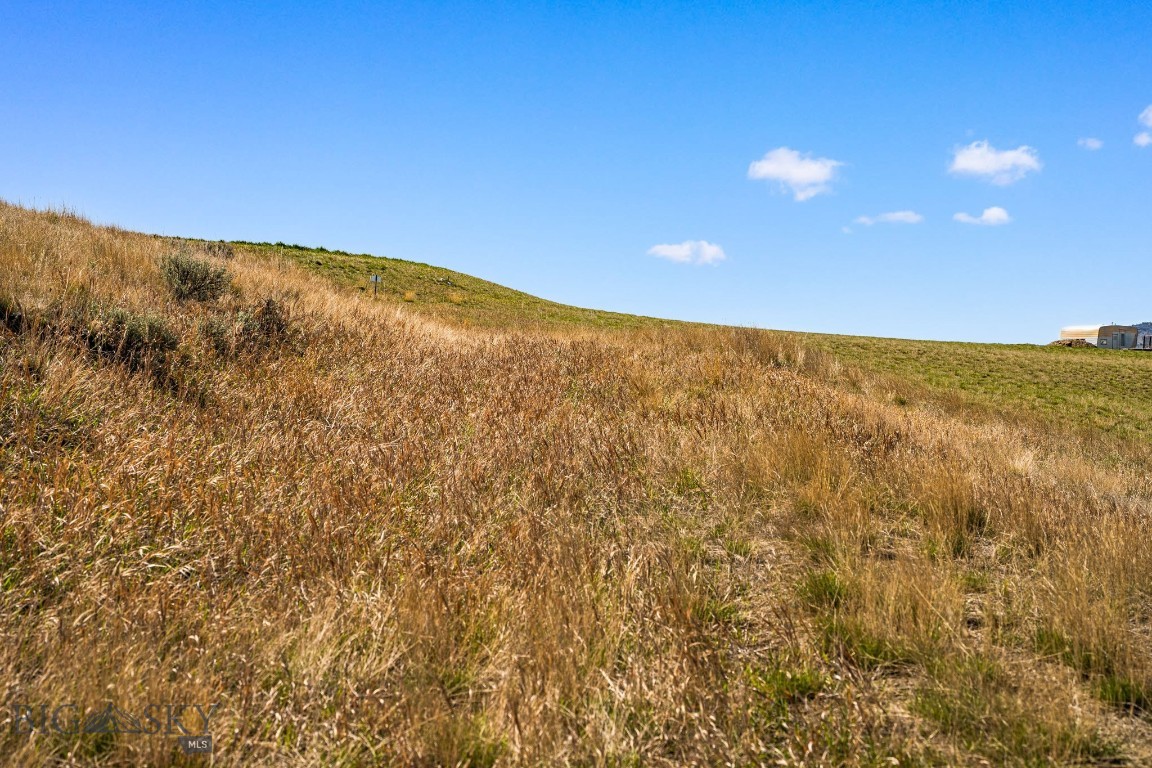 60 Wheatland Meadows Drive
