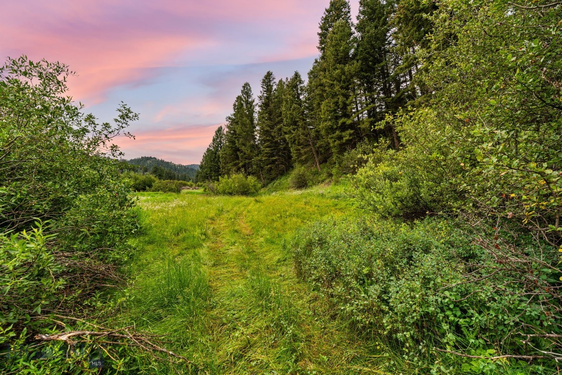 215 Timberline Creek Drive