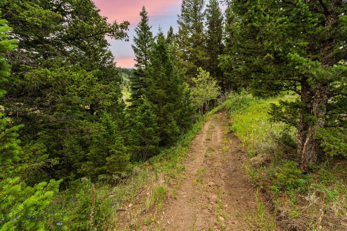 215 Timberline Creek Drive
