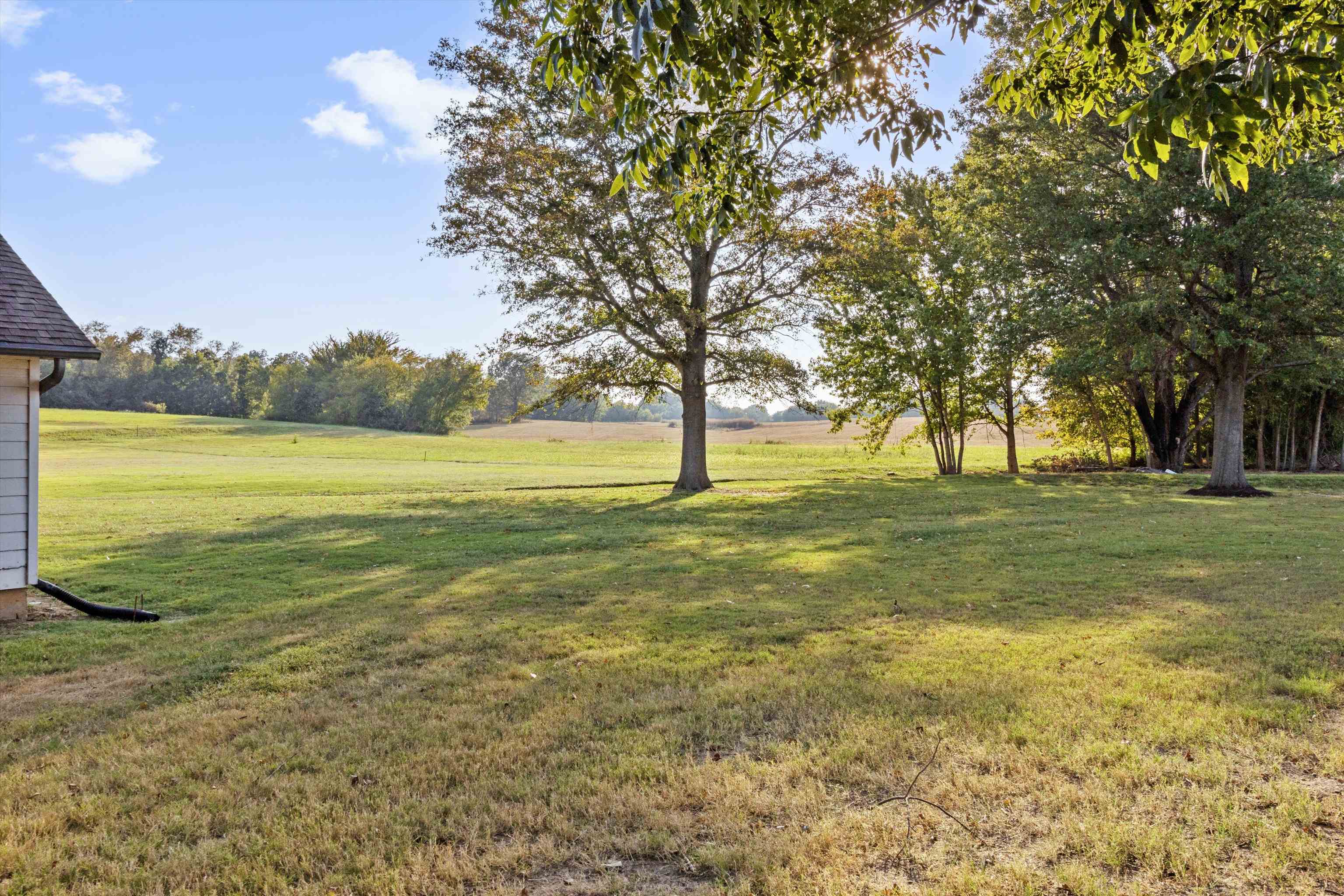 595 RAY LN