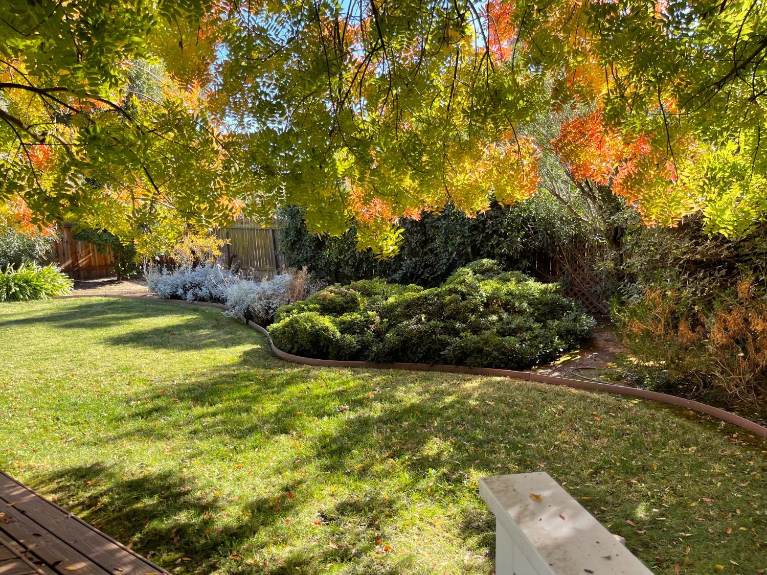 5102 Cowell Boulevard