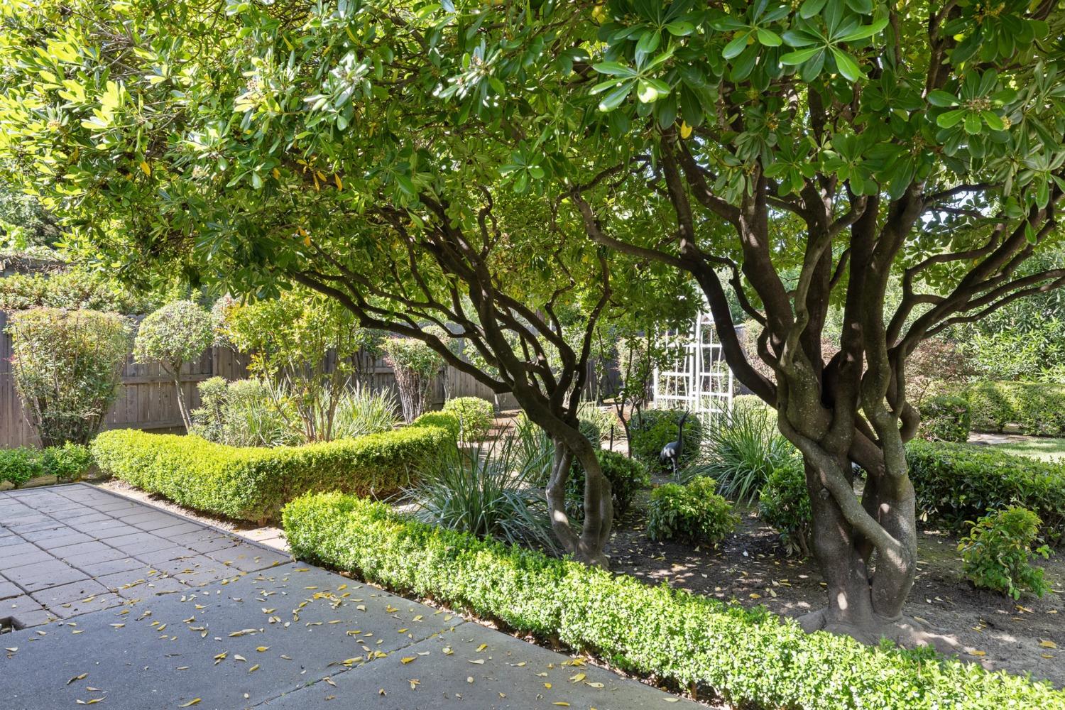 641 Cleveland Street