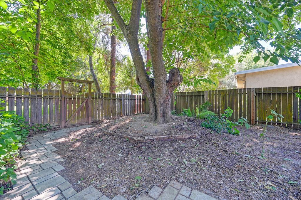 1434 Monarch Lane
