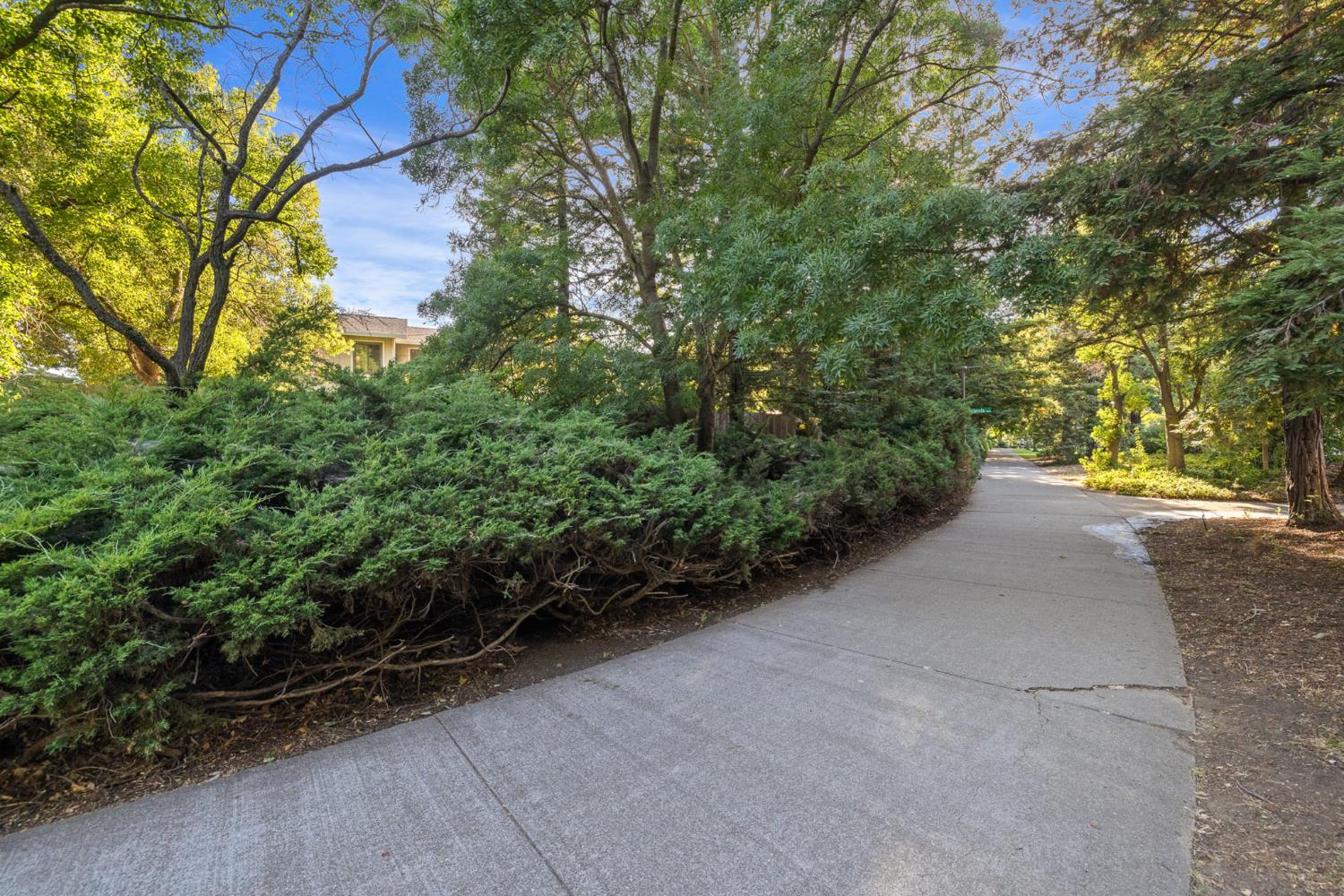 1231 Antelope Avenue