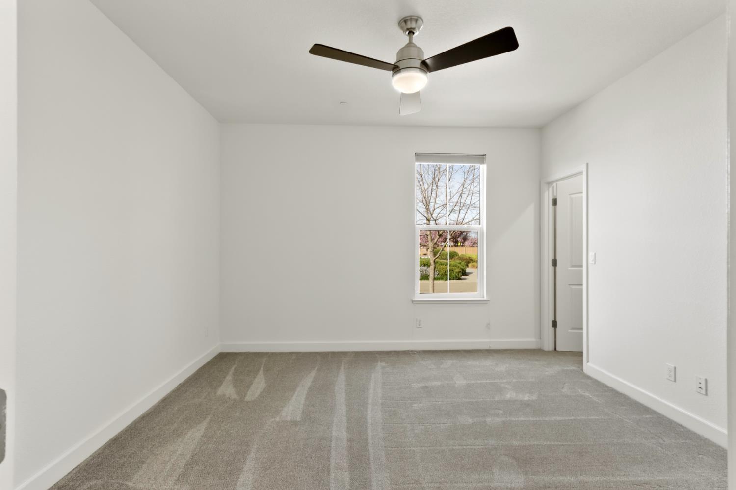 2536 Celebration Way