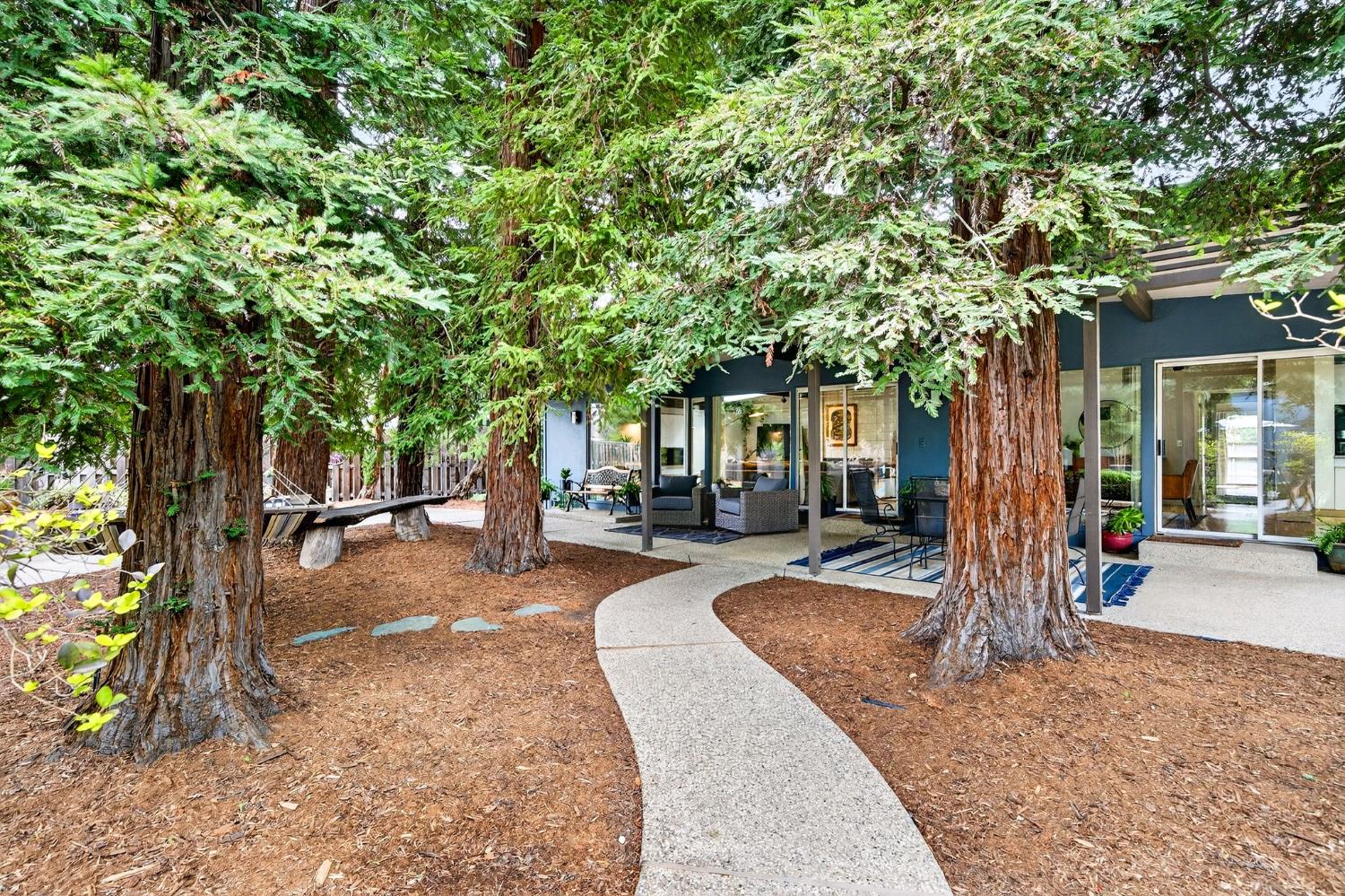 1009 Ovejas Avenue