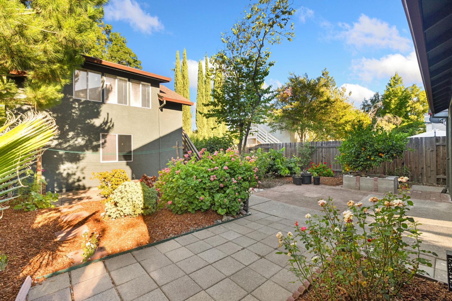 1536 Olympic Drive