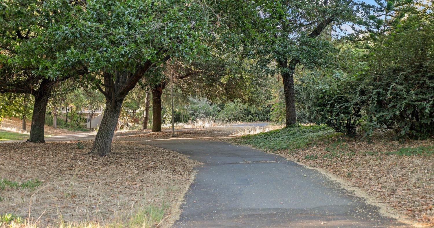 1123 Villaverde Lane