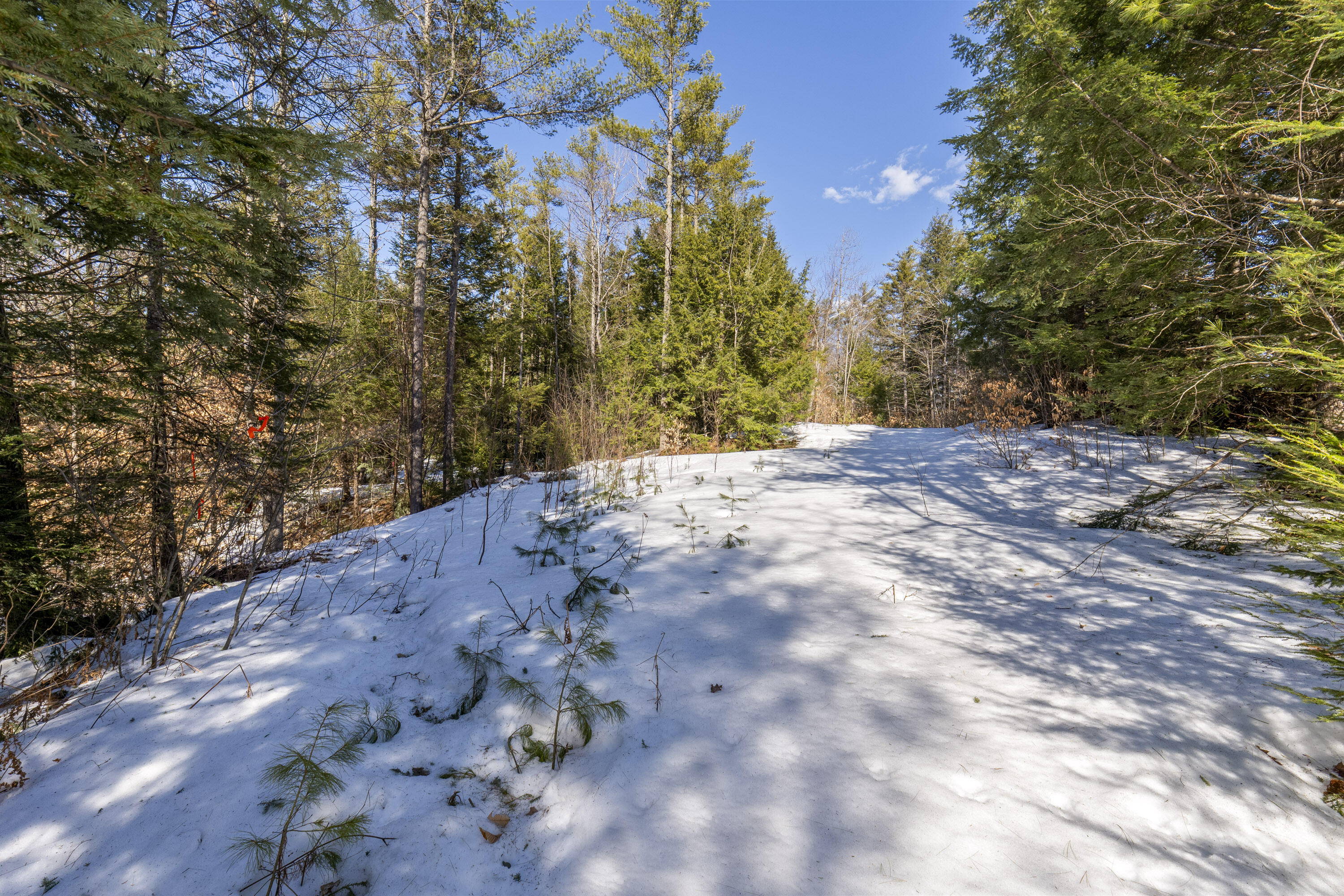TBD Intervale Road Subdivision Lot 1