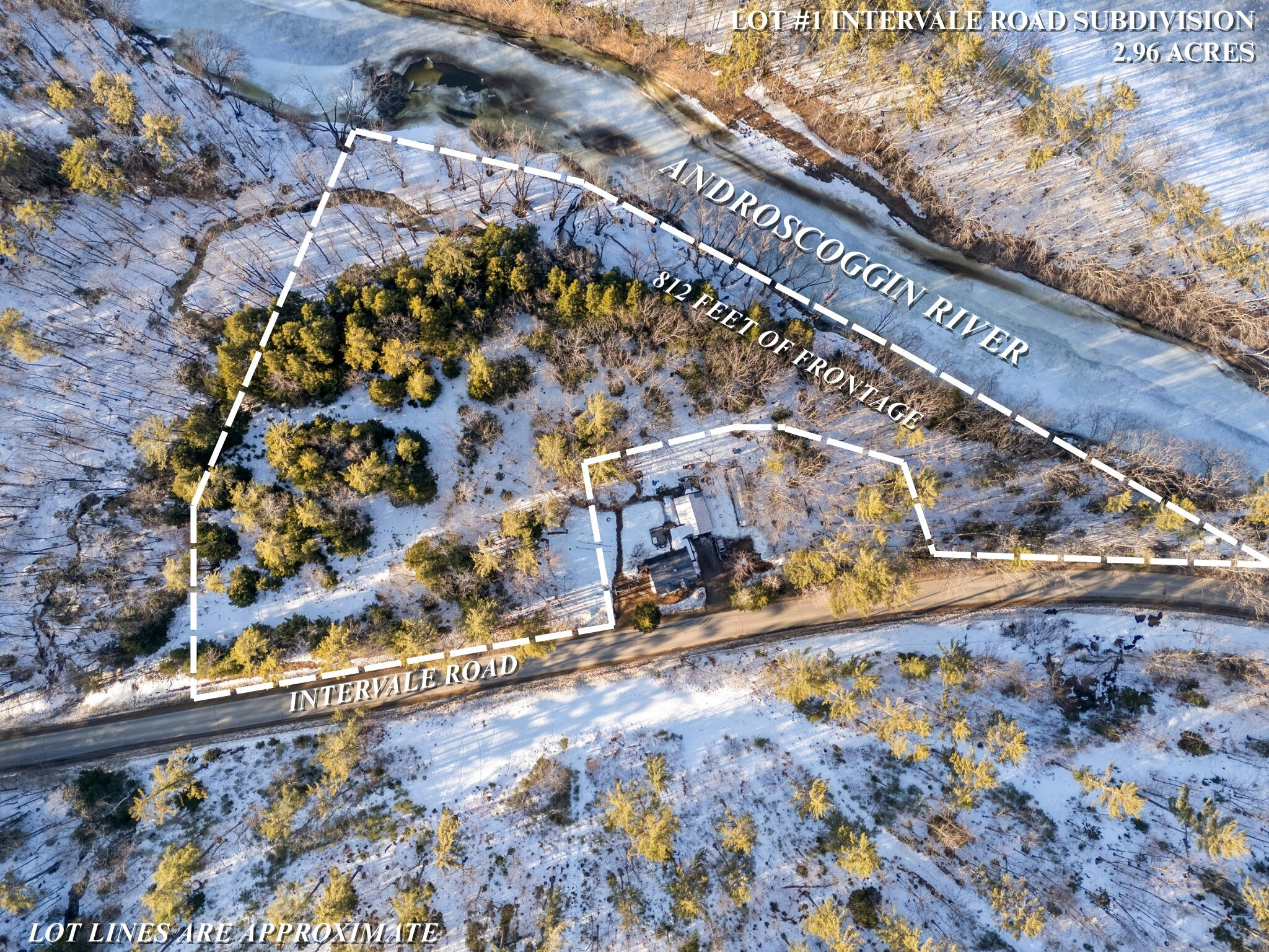 TBD Intervale Road Subdivision Lot 1