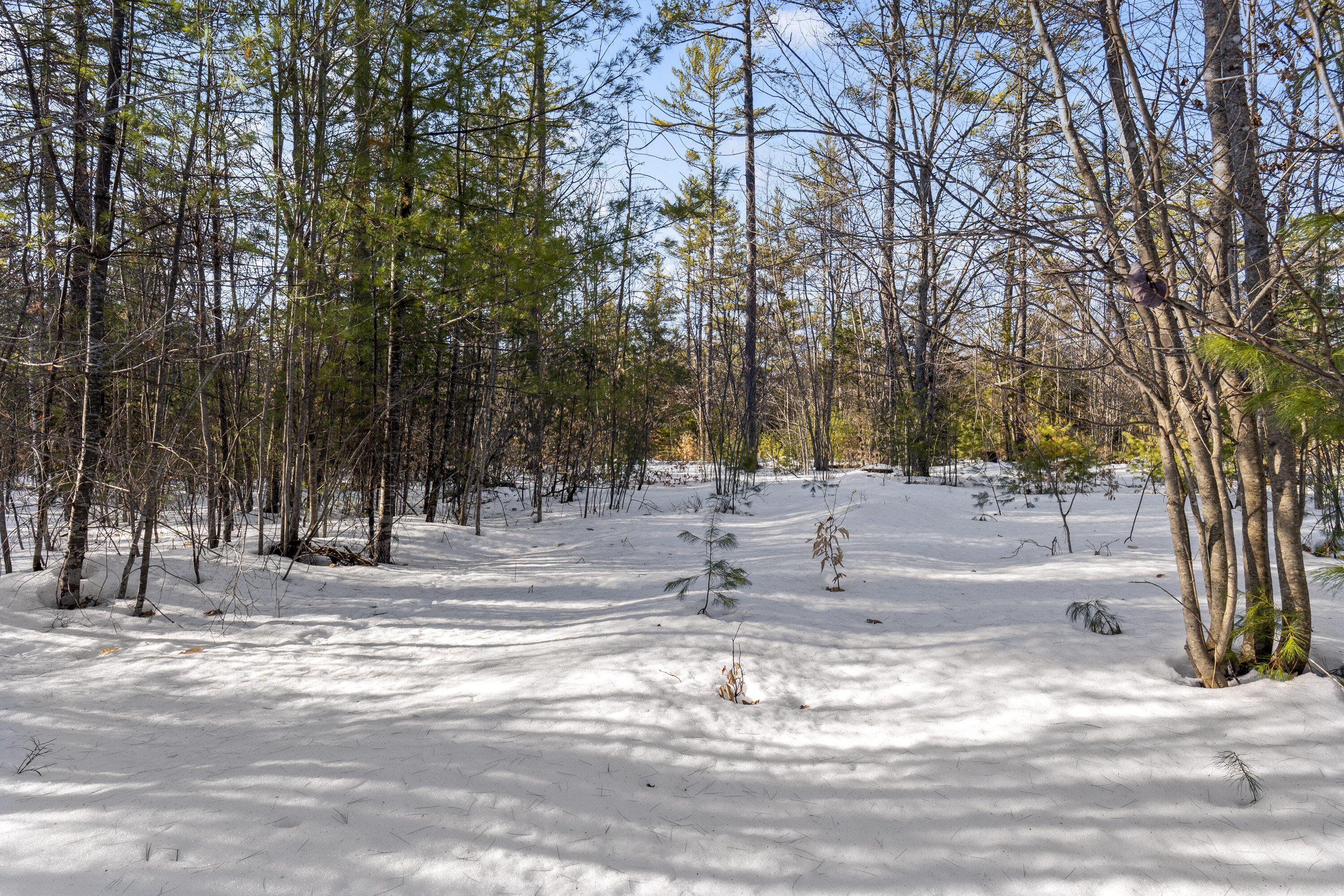 Lot 4 Intervale Road Subdivision