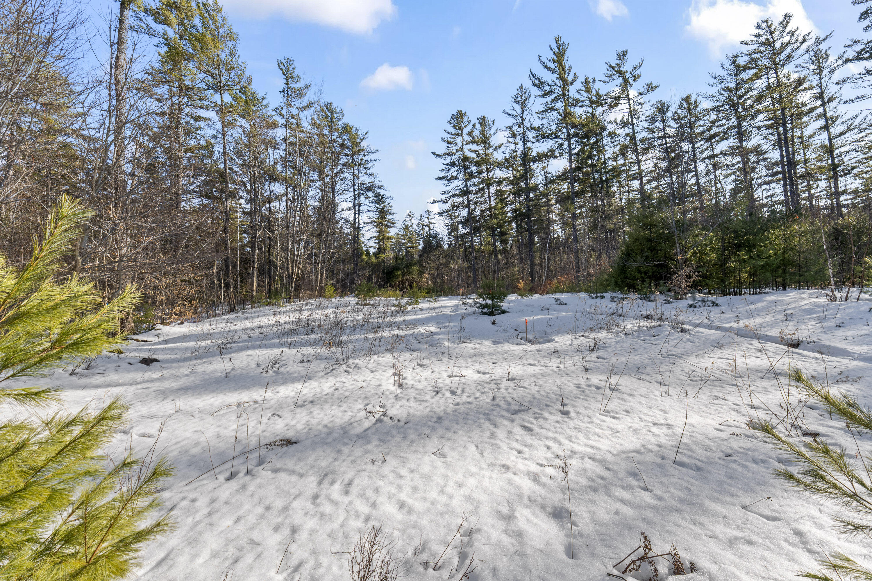 TBD Intervale Road Subdivision Lot 5