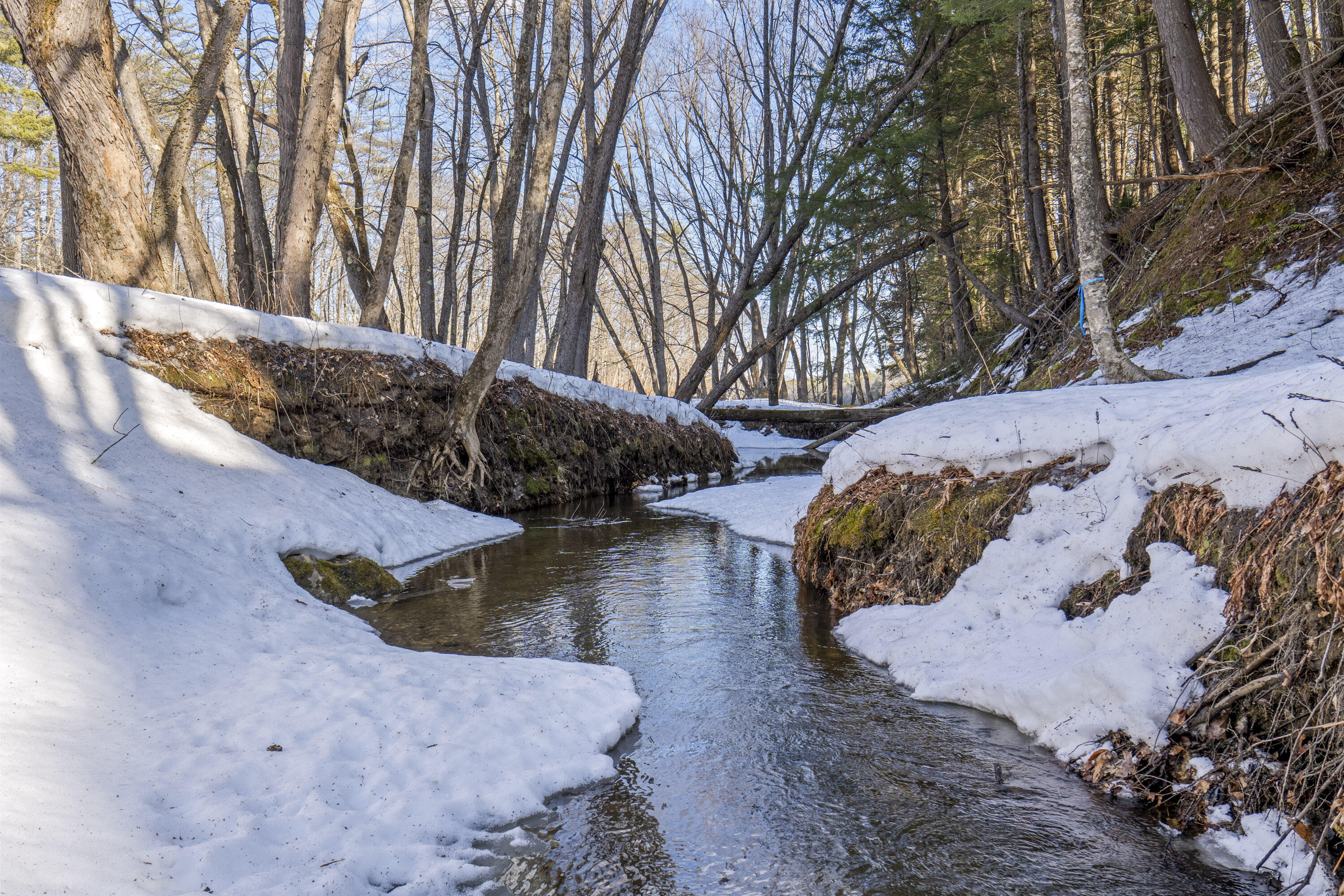 Lot 6 Intervale Road Subdivision