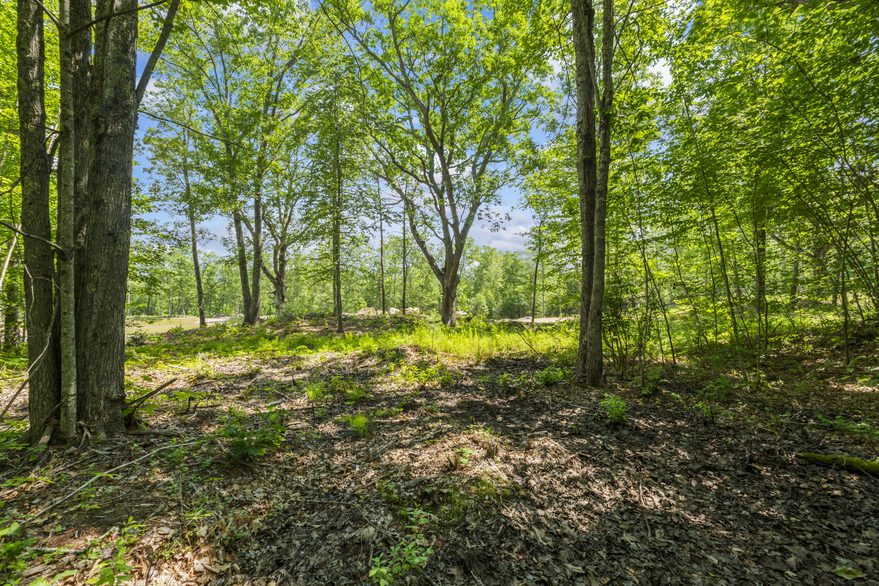 TBD Ridge Terrace Lot 7