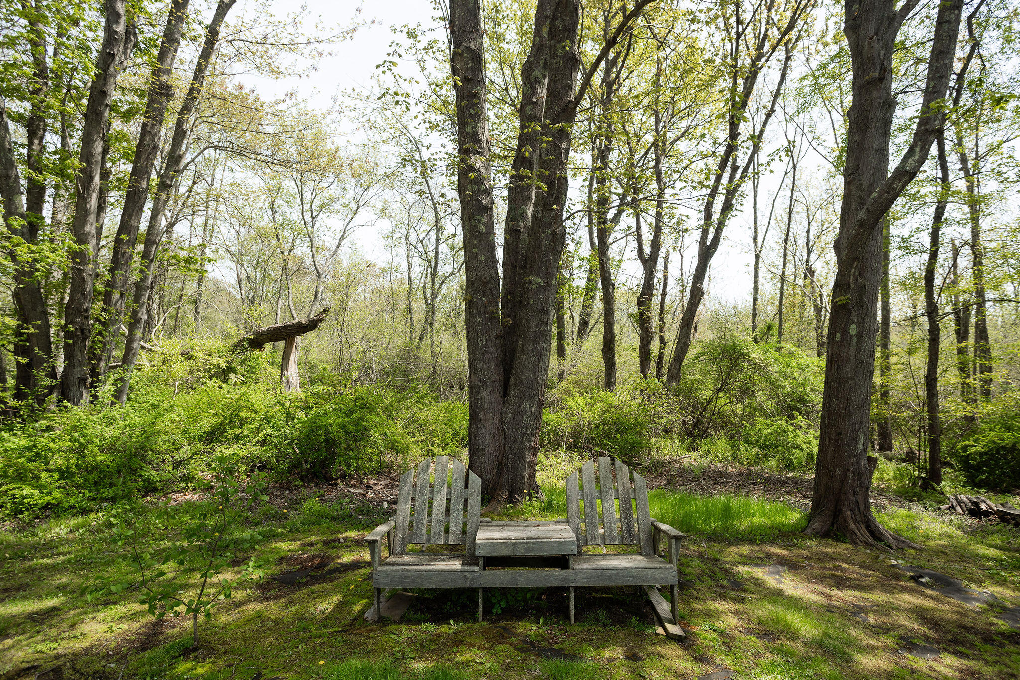 53 Sentry Hill Road A