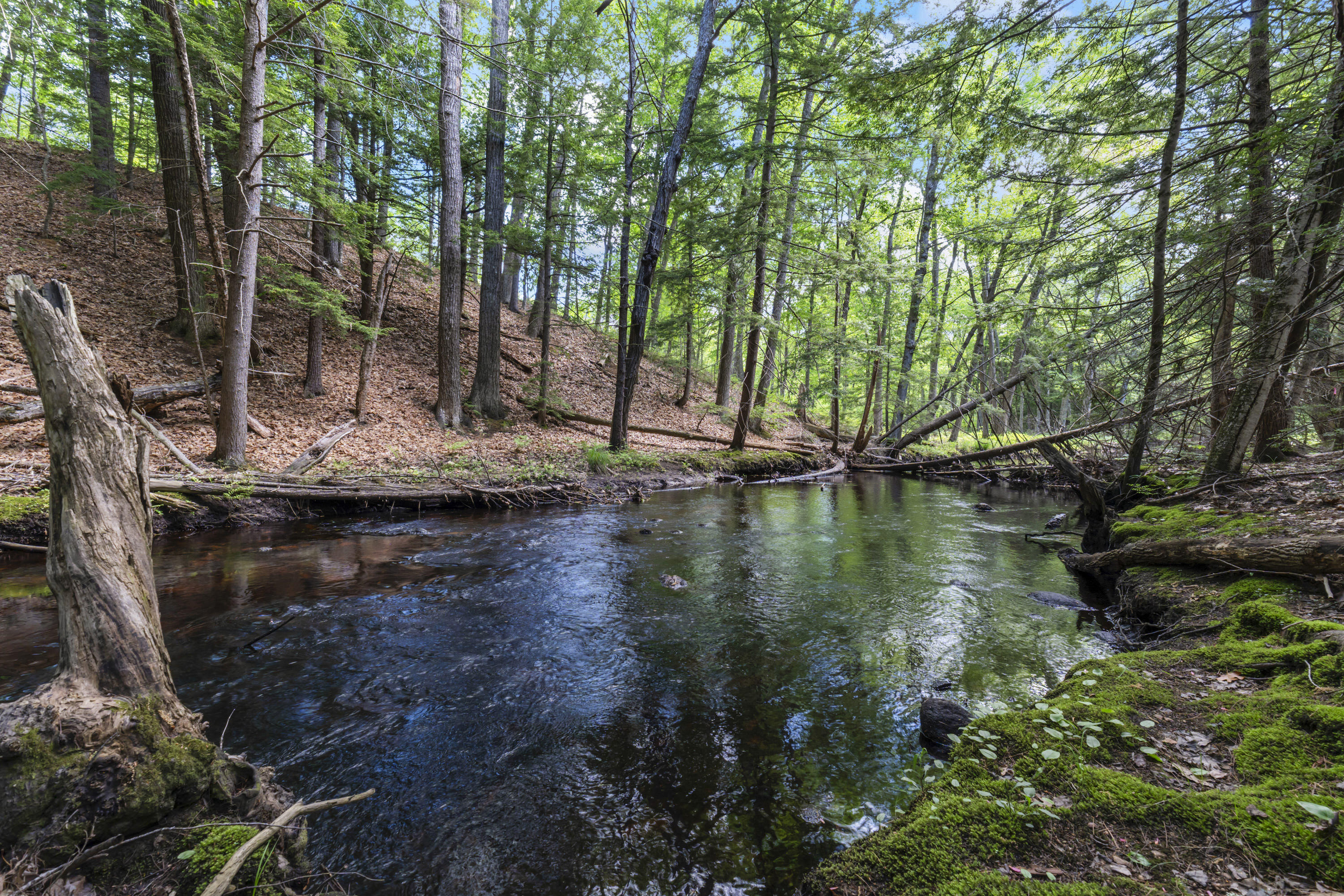 TBD Morrills Mill Road Lot 8