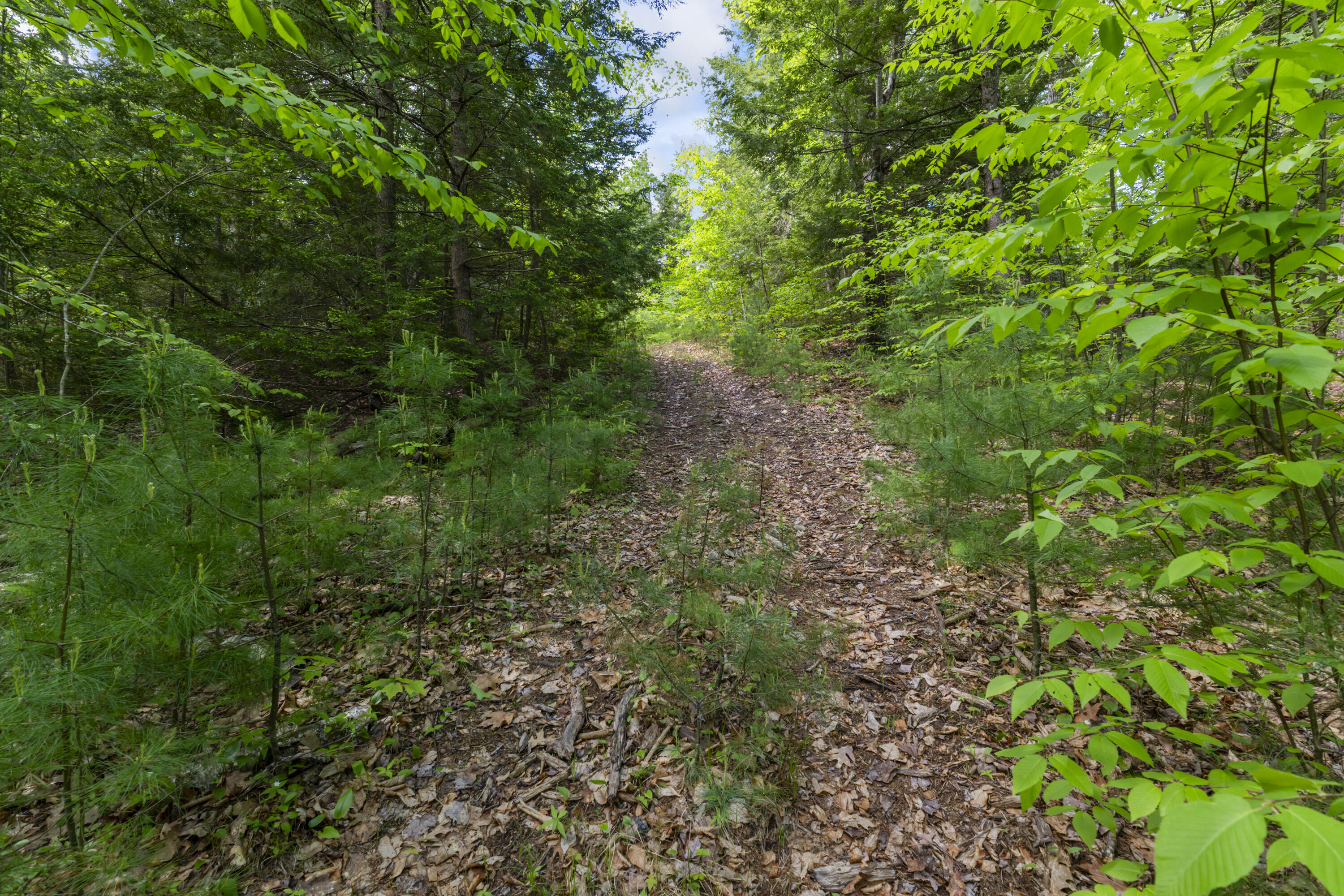 TBD Morrills Mill Road Lot 8