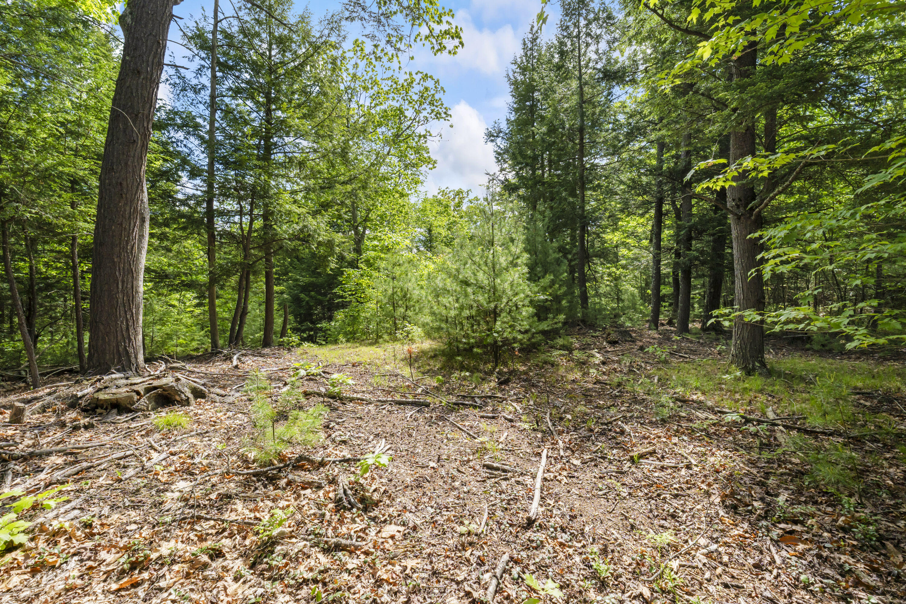 TBD Morrills Mill Road Lot 8