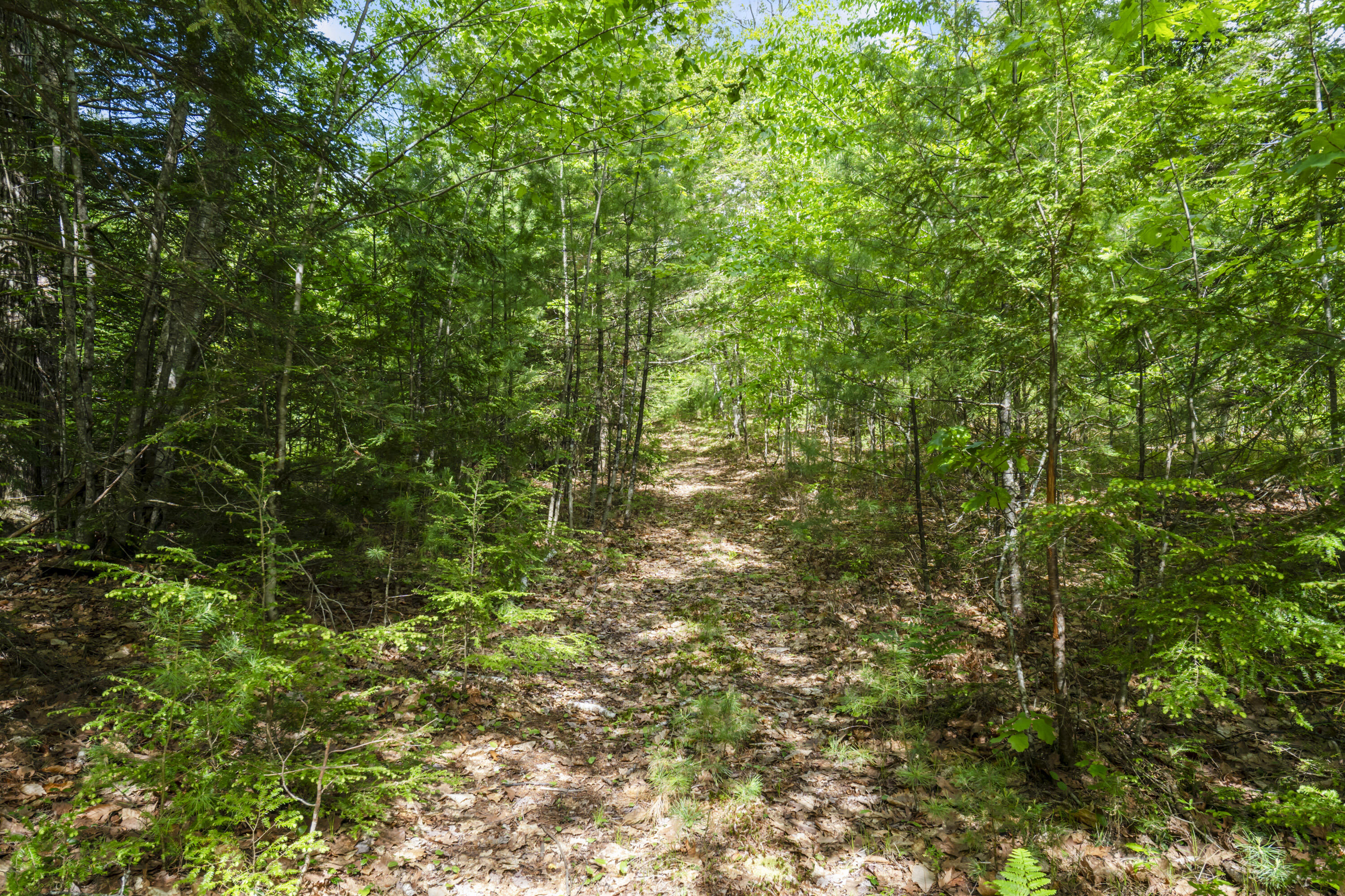 TBD Morrills Mill Road Lot 8