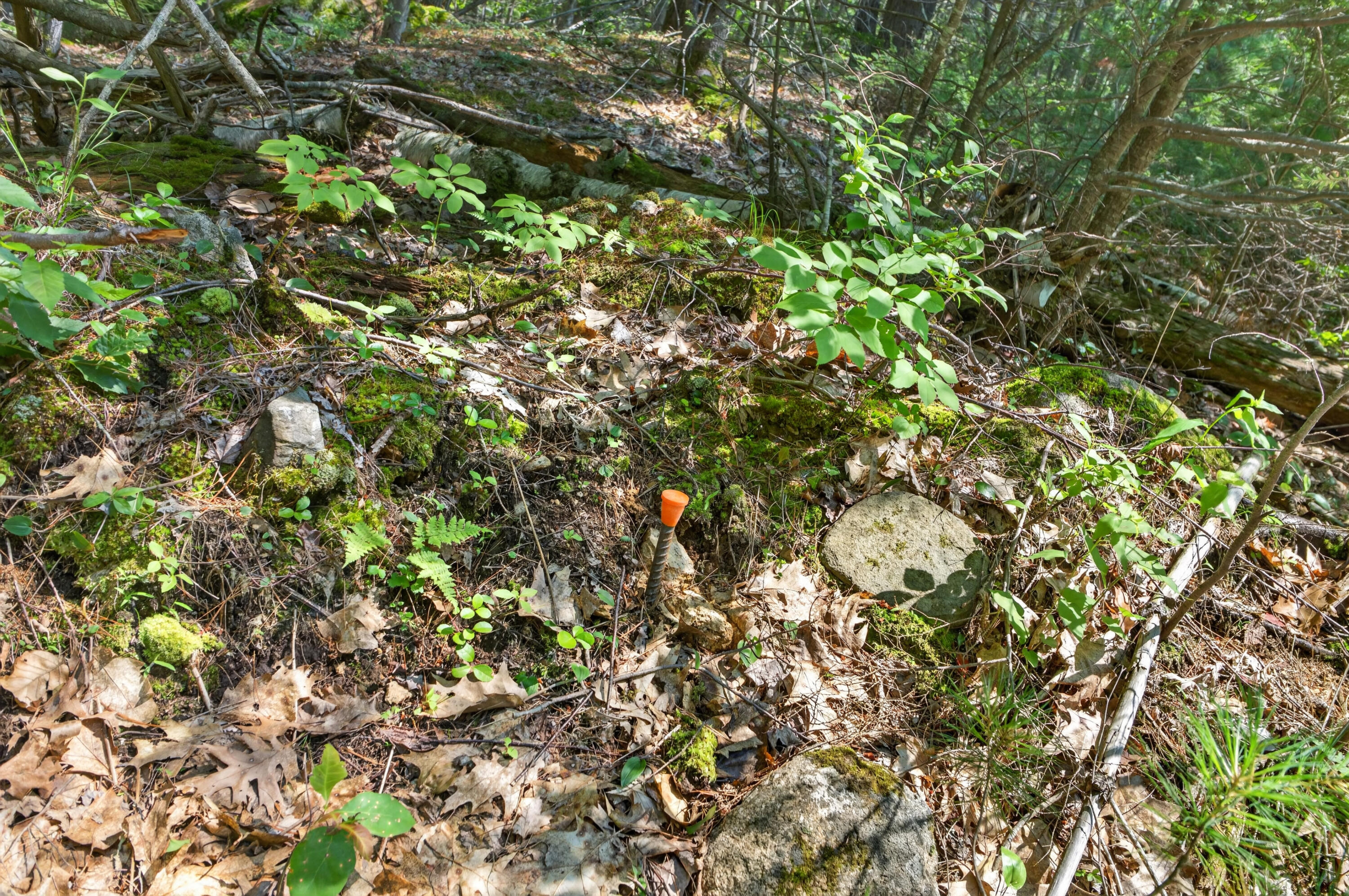 81 Mountain Road Lot A